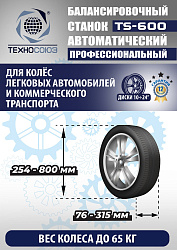 Комплект TS24AC+HR360 Станок шиномонтажный автомат+TS-600 Балансировочный стенд для легковых авто