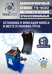 Комплект TS24AC+HR360 Станок шиномонтажный автомат+TS-600 Балансировочный стенд для легковых авто